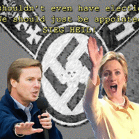 democratic force