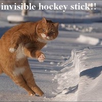 invisible hockey stick!!