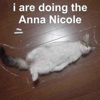 I ARE DOING THE ANNA NICOLE