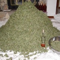 A tonne of weed