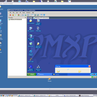 VMXP in use