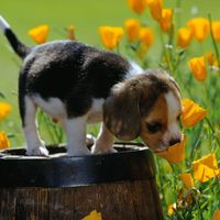 Takin time to smell the flowers