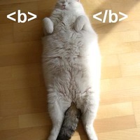 lolcats