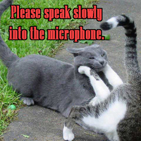 Speak to the microphone!