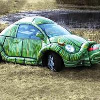VW TURTLE
