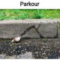 Parkour snail