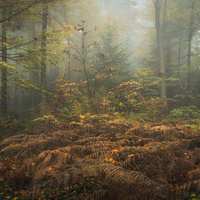 From Another Time by Benjamin Höger