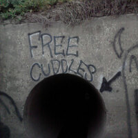 Free cuddles