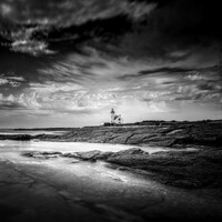"Pointe des chats" by av peteghium