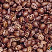 Find the man in the coffee beans