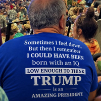 Stupid loves stupid