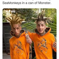 Monster Monkeys