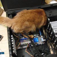 Onsite tech support taking outsourcing to a new level