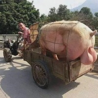 this little piggy went to market 
