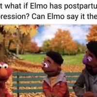 yes Elmo we now have precedent