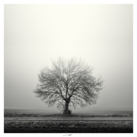 Confidences à la lumière, Vendée, France 2025 by Lionel HUG
