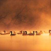 Serenity by Wojciech Sobiesiak