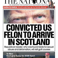 Convicted felon