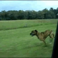 Geronimo!