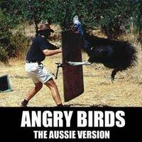 Angry birds