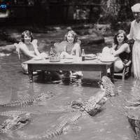 Lunch at an Alligator farm in South Florida, 1920's