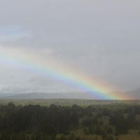 rainbow glimpse