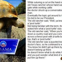 Post Turtle