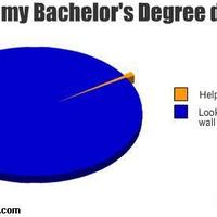 bachelors degree