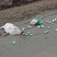easter bunny fucked up