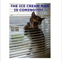 ice cream man is coming