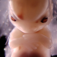 Alien Embryo 54 days