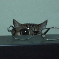 Magnified pussy