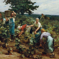 Wallpaper - The Harvest Of Mont St.Pere - What it's really like