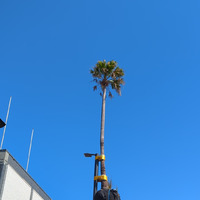 wtf wollongong? 