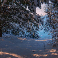 Wallpaper, winter scene, credit in file name.