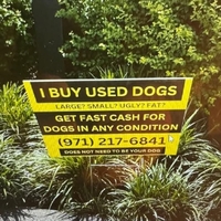 Can I just rent one?