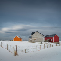 Norwegian Wood by Alex Hill
