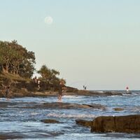 'moonlighting’ fishermen