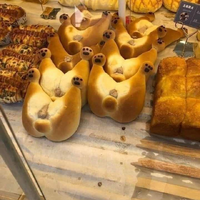 Looks delicious