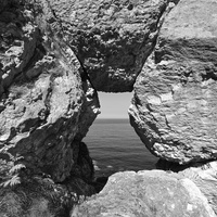 Through Madman's Window by Steven Nelson