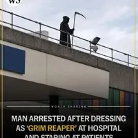 Everyone needs a job 