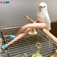 hot bird with long legs
