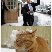 GUESS OBAMA DOESNT LIKE PUSSY!