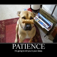 PATIENCE.....