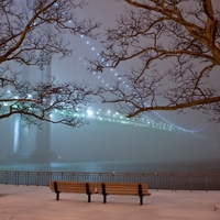bridge in the fog