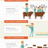 Two cows explained