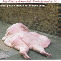 Fat suicide