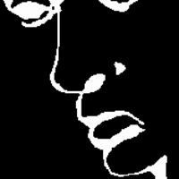 Illusion: A face? Or does it say liar?