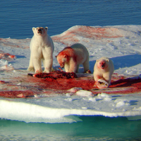 Still think Polar Bears are cute?