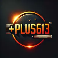 + p l u s 6 1 3